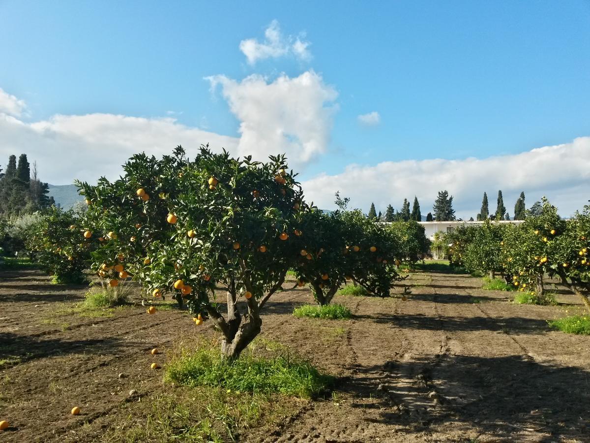 מוראברה Hotel Domu Incantada מראה חיצוני תמונה